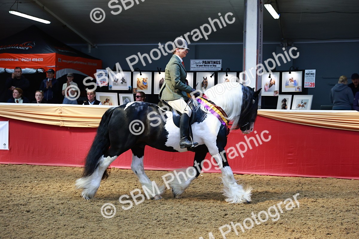 SBM_12807 - HOYS Veteran Qualifier - Ridden Champ