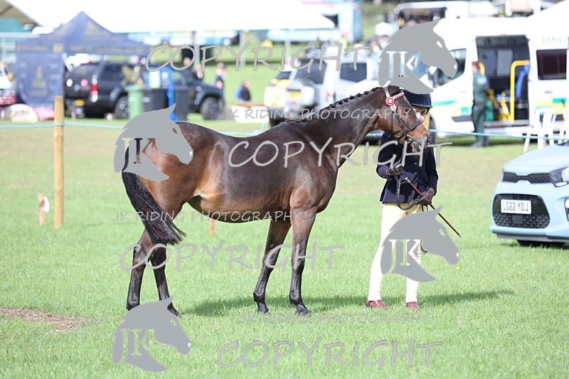 APP_2584 - Class 9 Veterans in hand