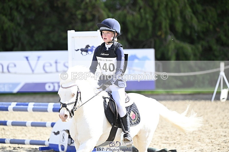 251005A-121629-03695 - Cls 08 Mini 70-75cm