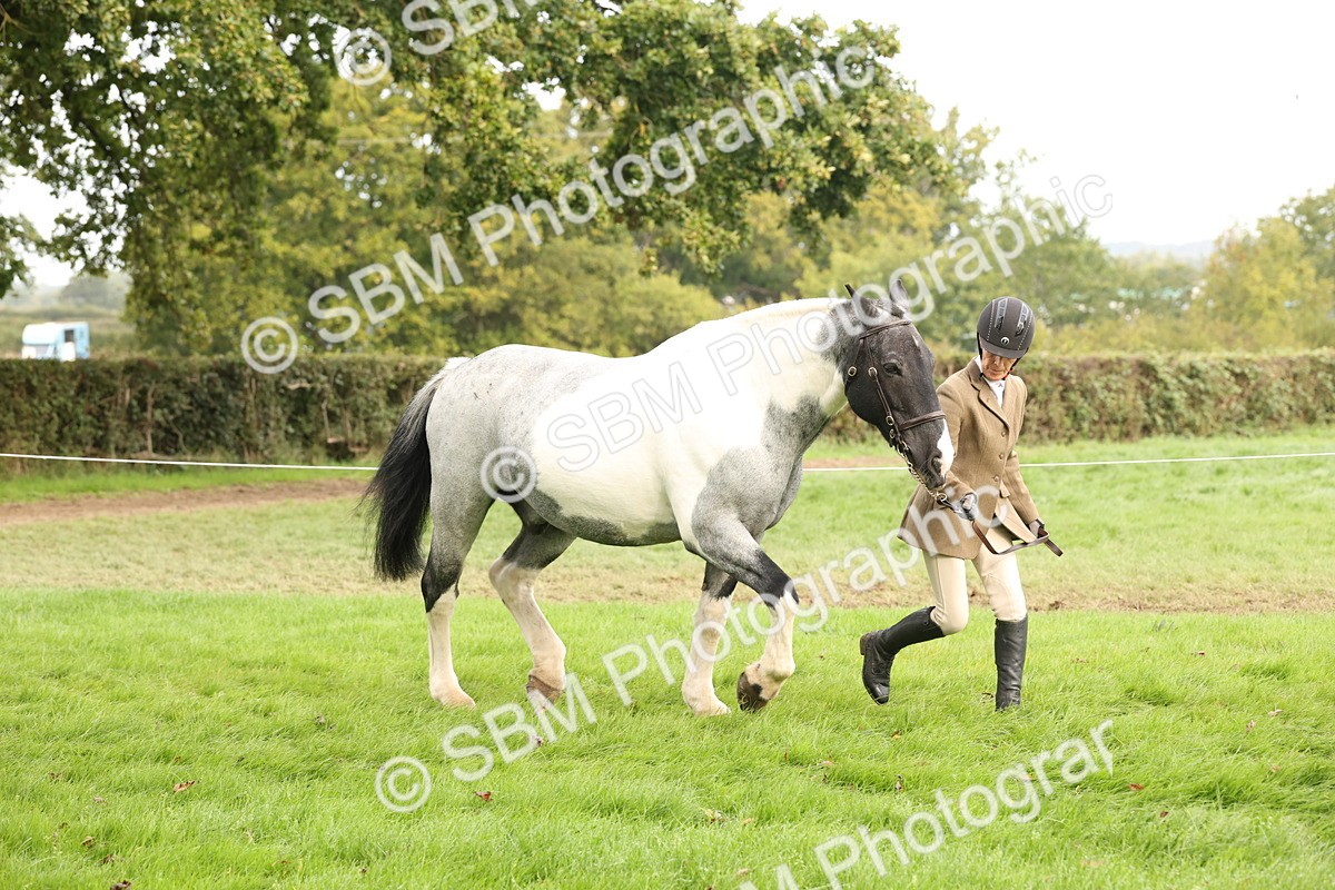 SBM_57501 - S56 - Show Cob in Hand