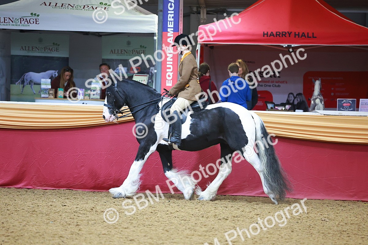 SBM_09740 - Class 102 - HOYS Veteran Qualifier - Ridden Veteran