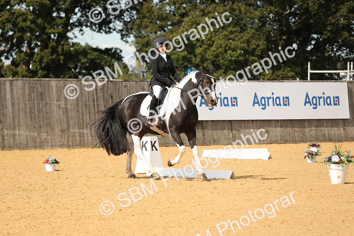 SBM_22198 - D17 - Grand Tour Championship - Novice 27