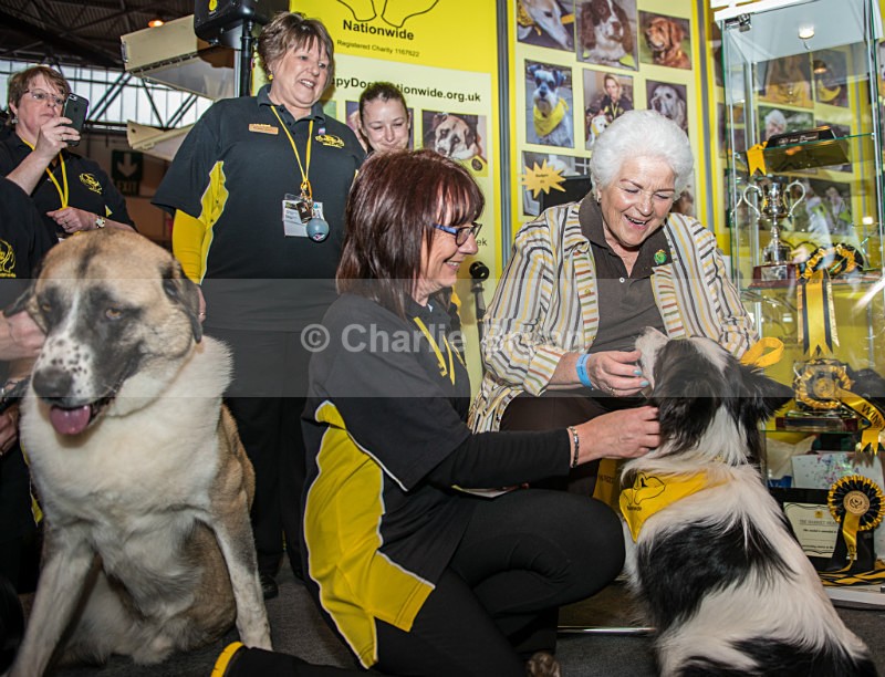  - Crufts 2017
