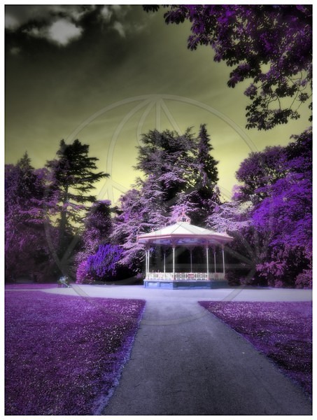 Alien_Afternoon_3F - Everything Else