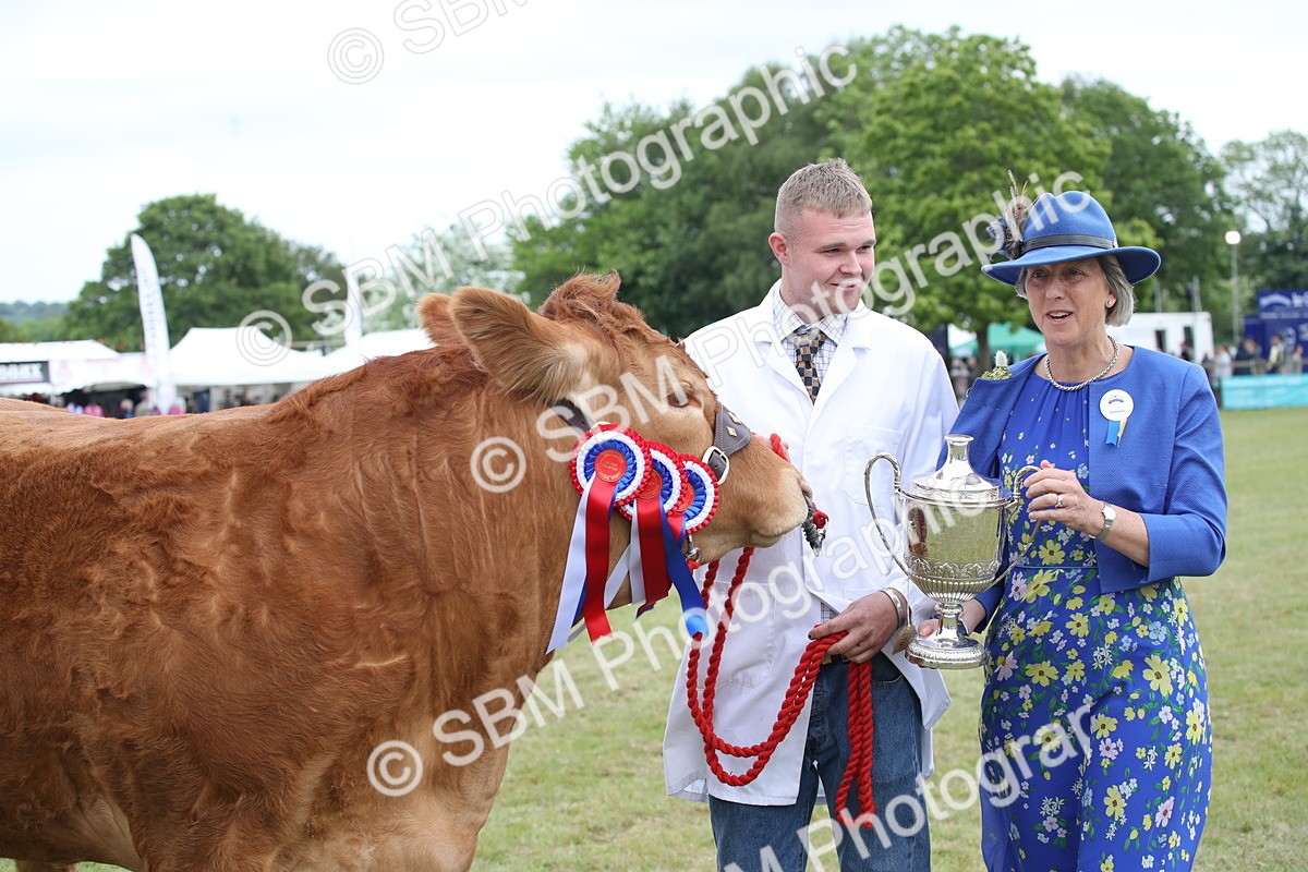 SBM_07923 - Grand Parade