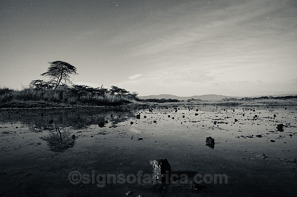 Full Moon, Lake Elementaita, Kenya