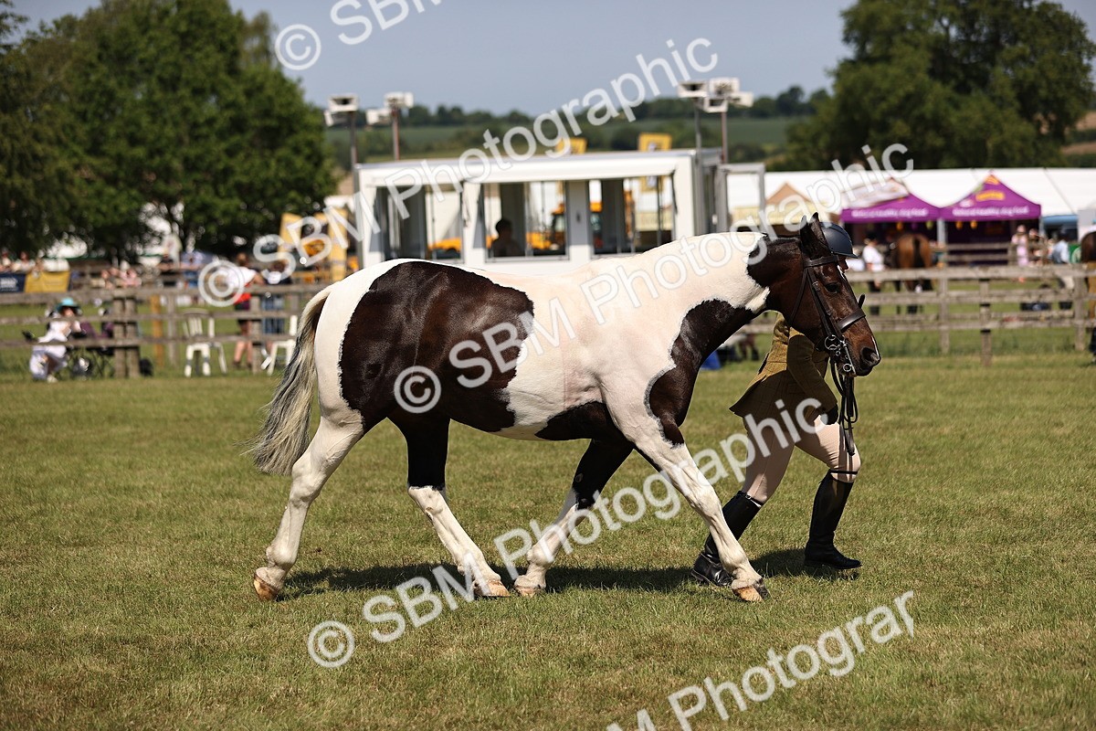 SBM_17932 - Class 81-83 - TSR Ridden Amateur of the Year - Horses