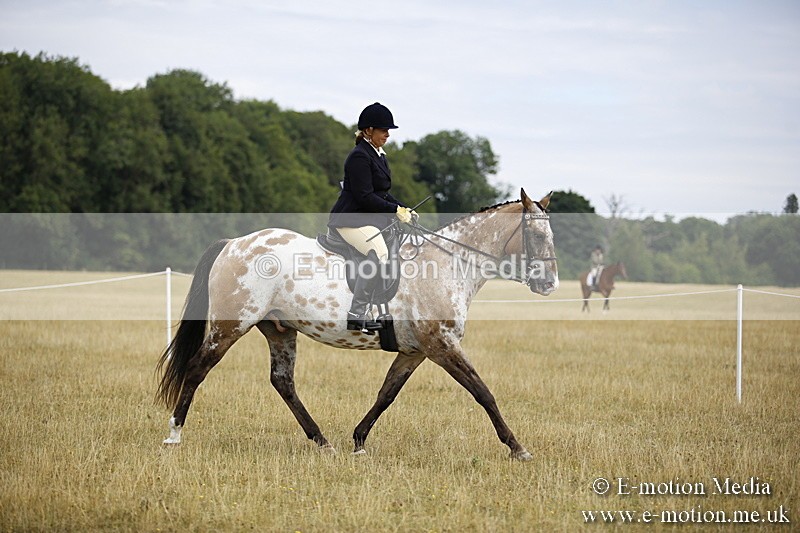 _C7A9459 - BVRC Show 2018 Ring 1