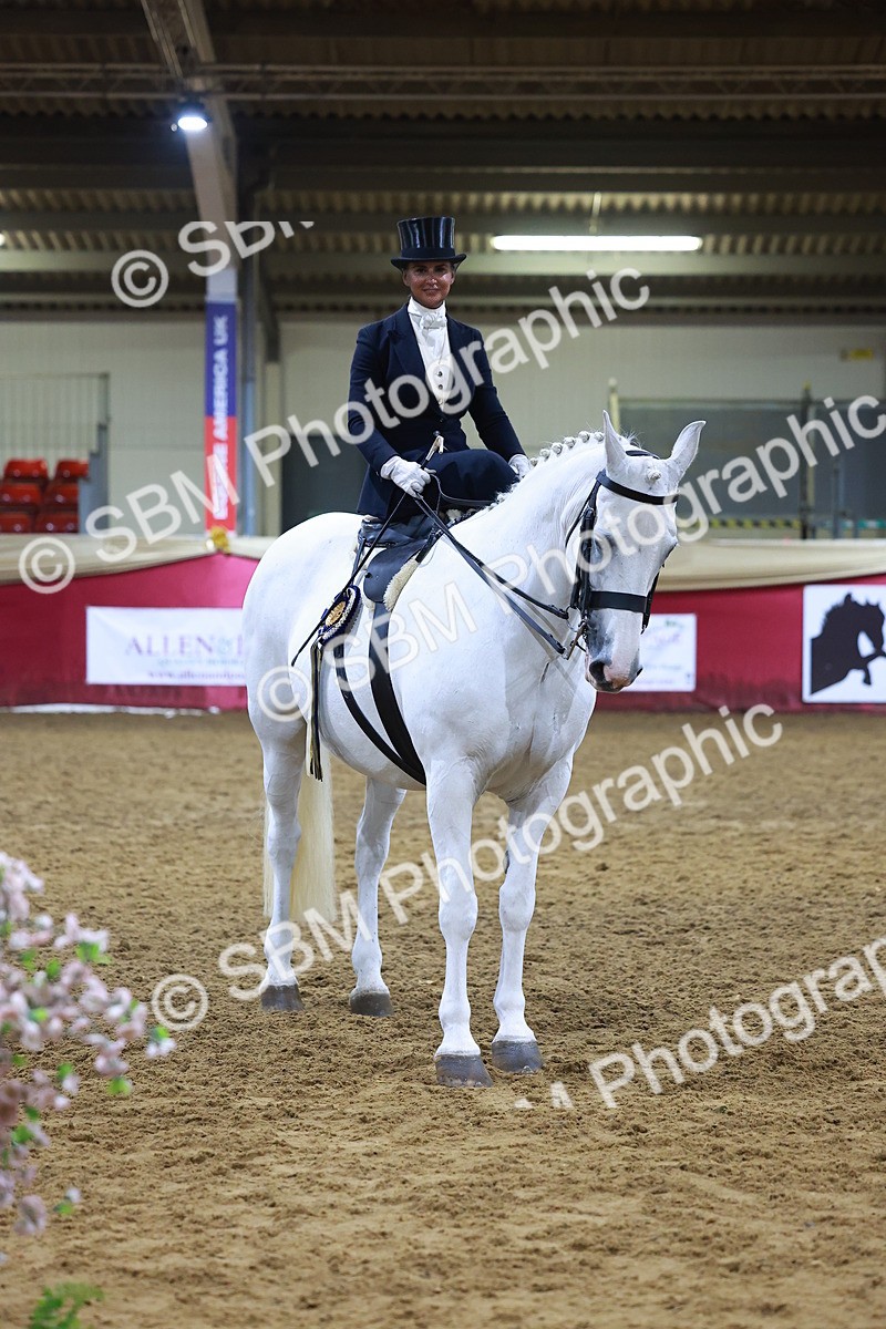 SBM_15043 - Class N - Side Saddle Champ
