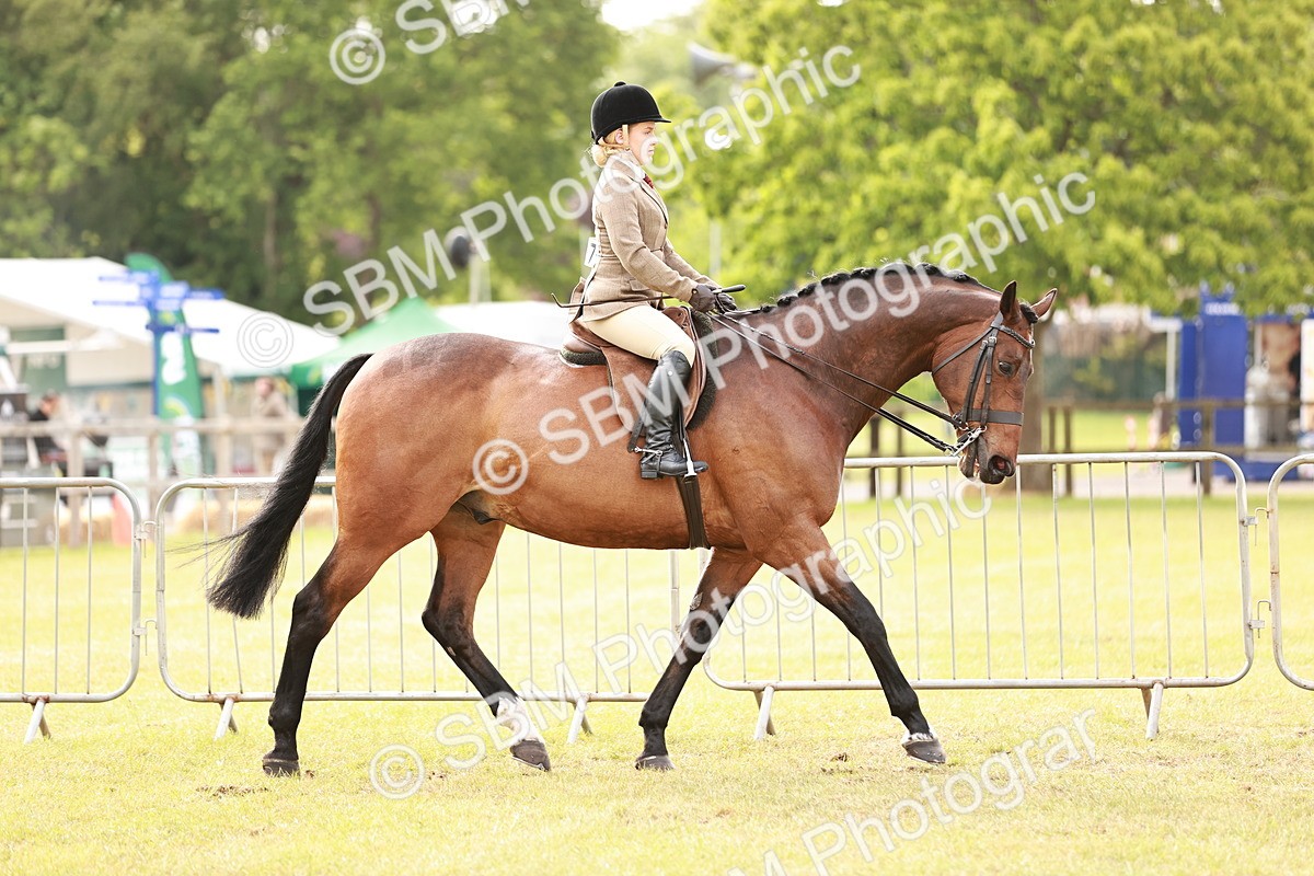 SBM_10844 - Class 81-84 - RIHS Ridden hunters Inc Ladies Hunter