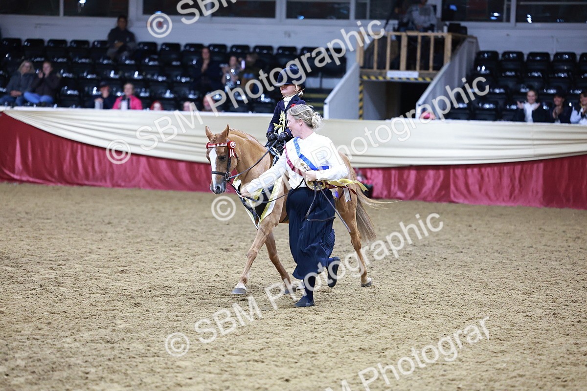 SBM_20606 - Class H - IH Competition - Riding Club champ