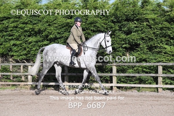 BPP_6687 - RING 1  (RIDDEN HORSES / IN HAND / VETERAN ETC)