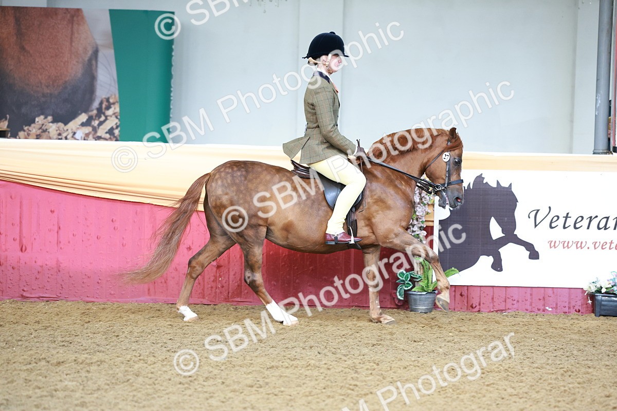 SBM_11826 - Class 102 - Equitation (Best Rider) Adult