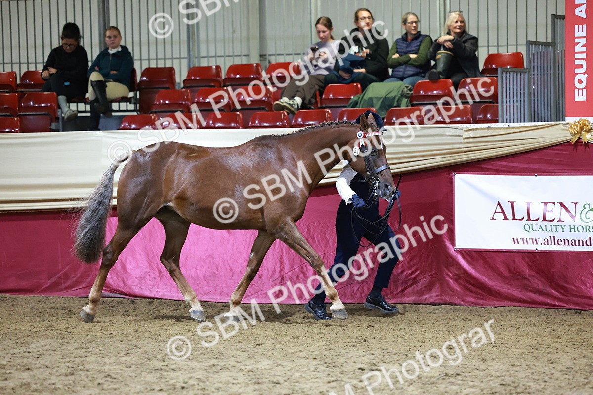 SBM_21208 - Class R - Veteran Champ