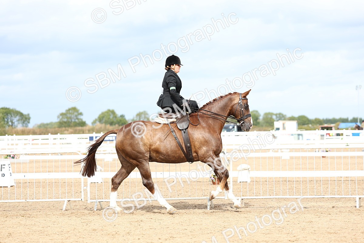 SBM_03311 - Class 23 - SSA Classical (any age)
