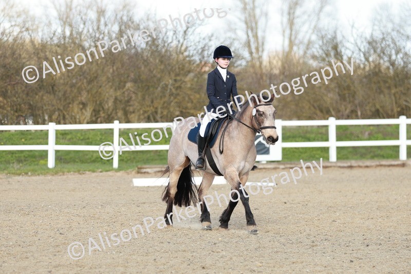 20260314-5368 - DR4 - Prelim 2