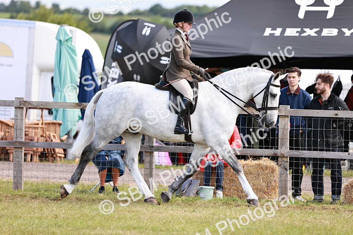 SBM_14000 - Class 85-87 - RIHS Cobs