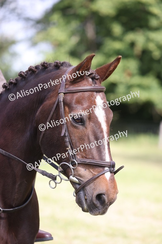 20260614-0522 - Class 20 - Beginners Working Hunter Pony