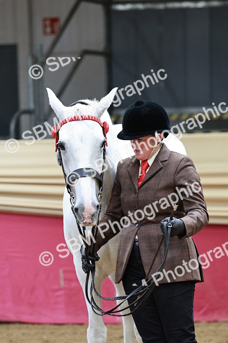 SBM_01293 - Class 3A - Area IH Pre-Vet