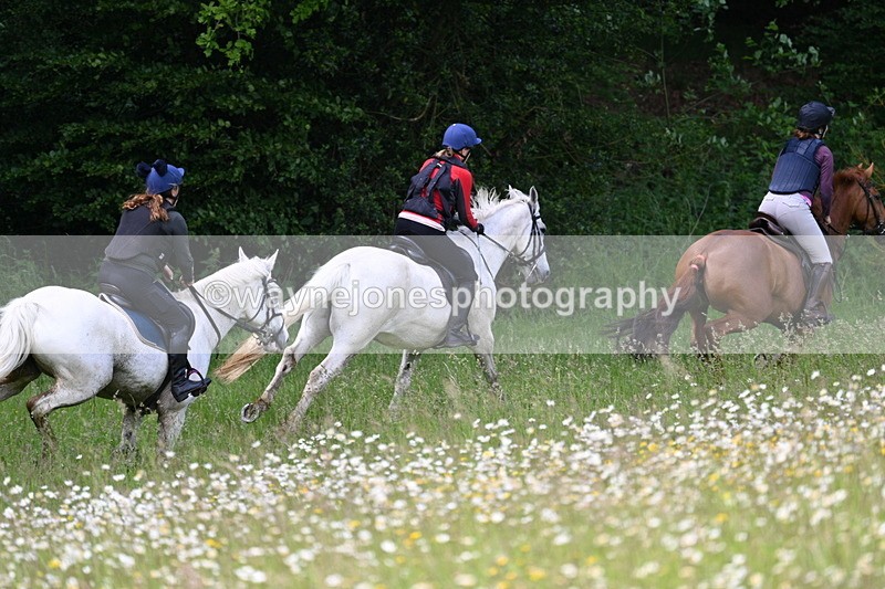 WJ7_8555 - Group 1 10am