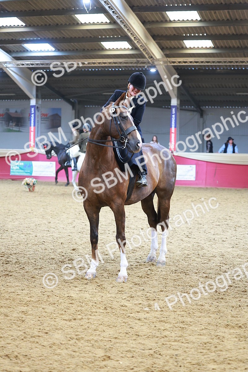 SBM_12692 - Class 103 - HOYS Veteran Qualifier - Ridden Pre Vet