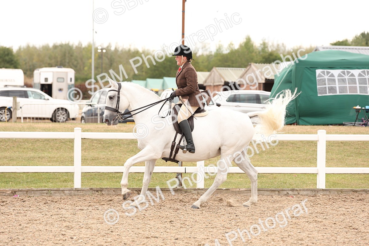 SBM_16504 - Class 212 - Ridden Hunter - Small