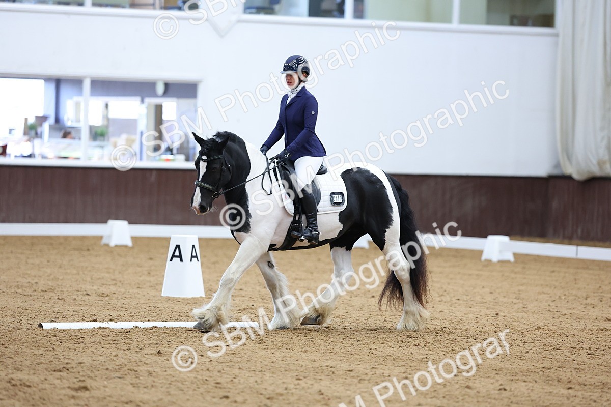 SBM_002264 - Novice 2