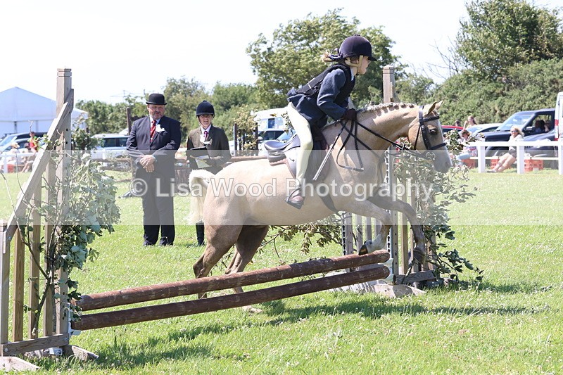 JPP_2209 - Class 20: Tiny Tots Working Hunter Pony