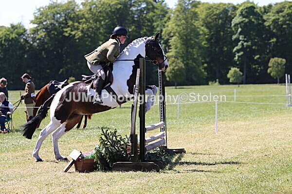 IMG_4086 - Working Hunter