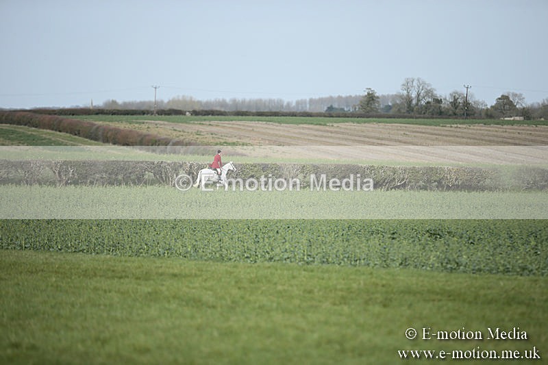 PtP 230319 307 - VWH Hunt Siddington Point-to-Point Racing 23/03/19