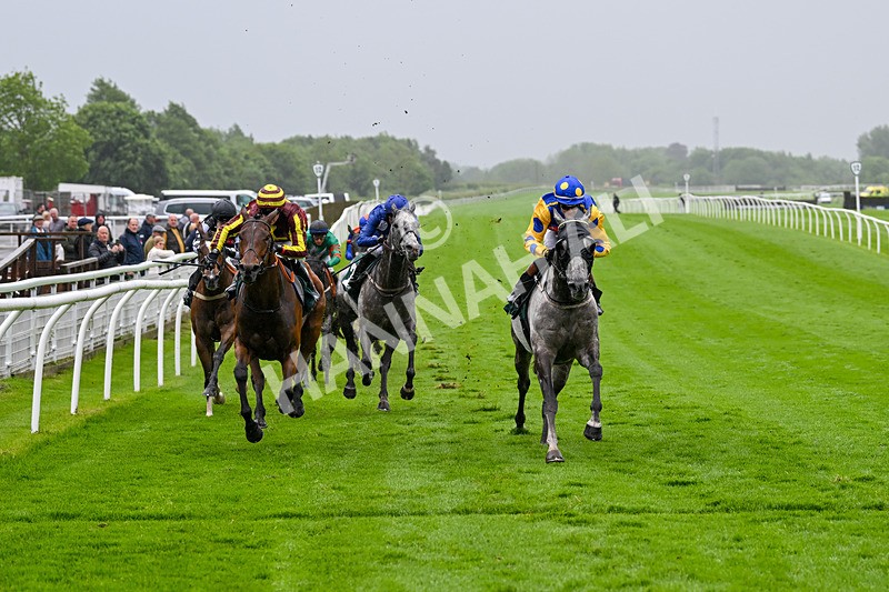 230524-Race 5-King Of Tonga-1830 - Race 5