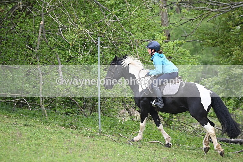 WJ6_3068 - A Camera