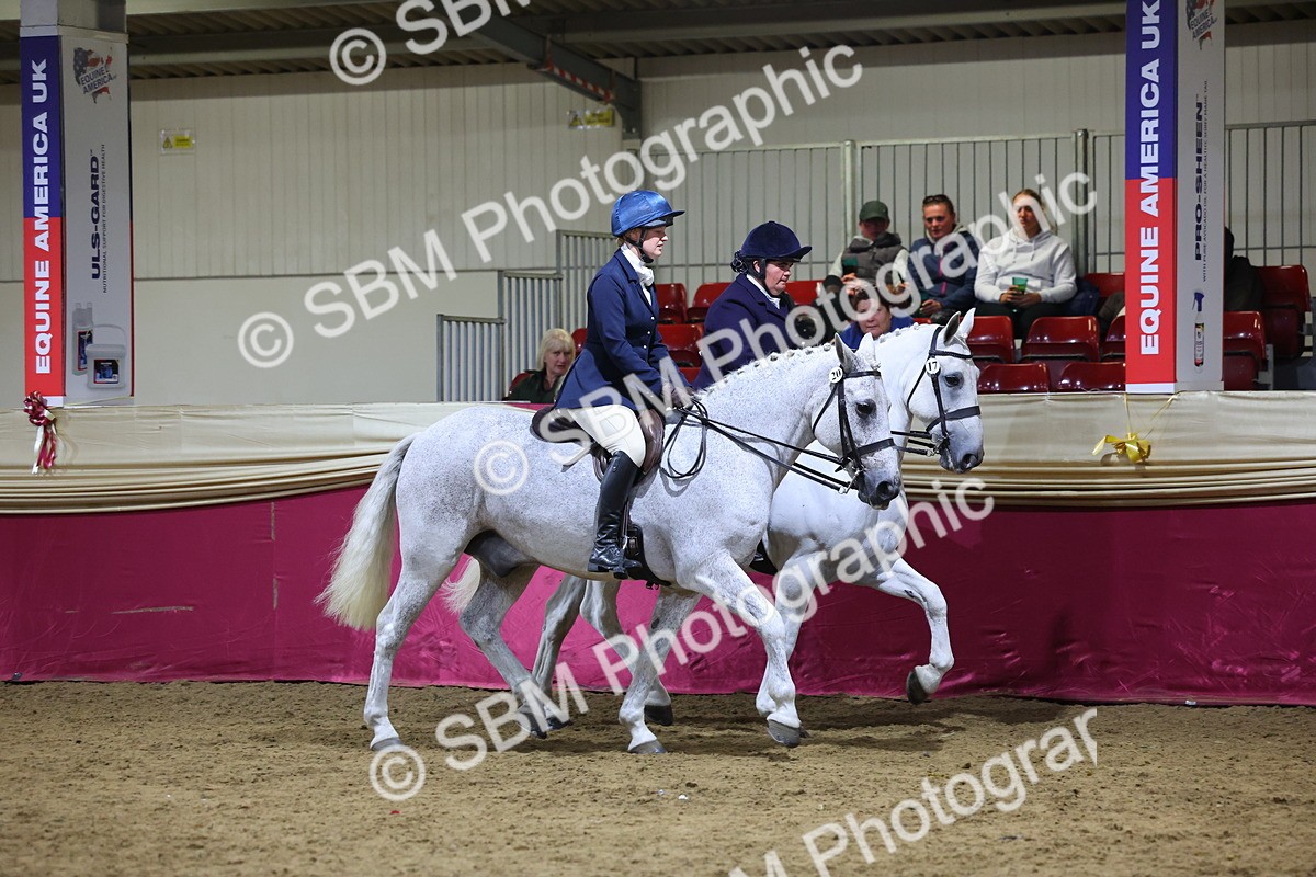 0B8A4306 - Class M Ridden Pairs Champ
