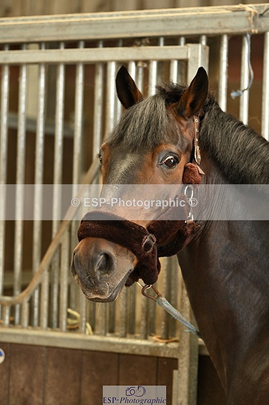 240809A-085100-00025 - Stable Shots