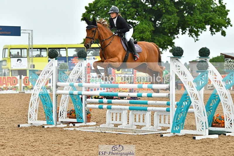 230610A-134226-03586 - Cls 16 Foxhunter
