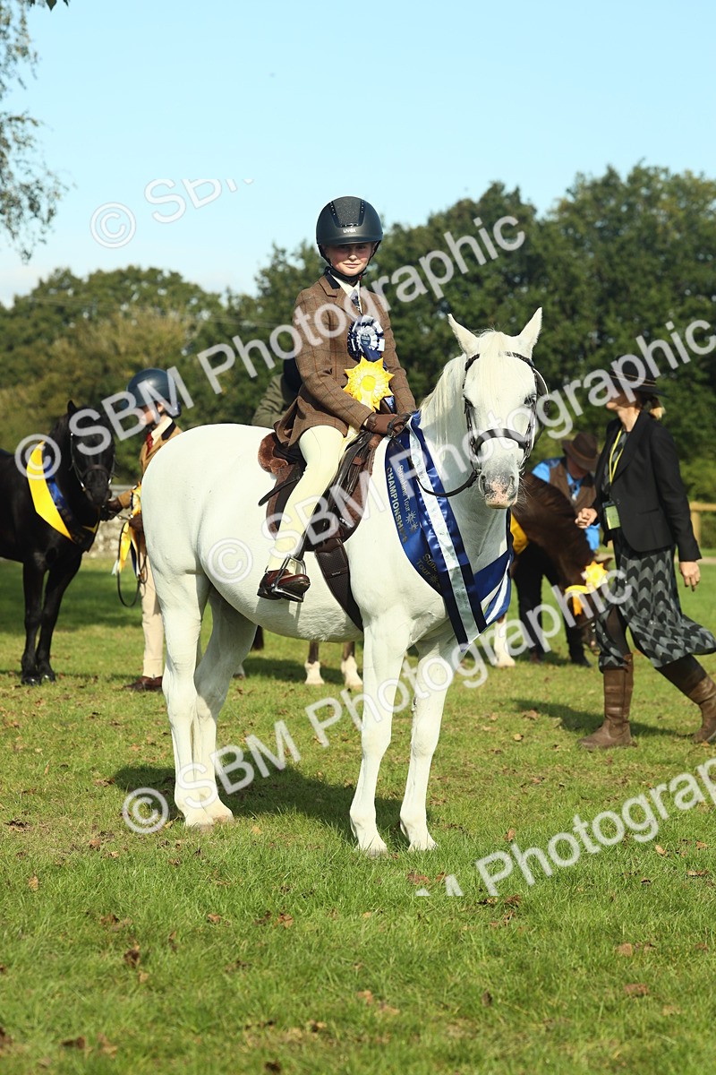 SBM_61158 - Starter Supreme Championship