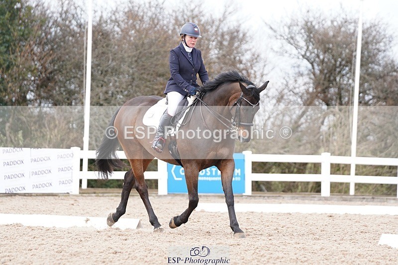 250322-125914-00420 - DR Elementary 2 Test