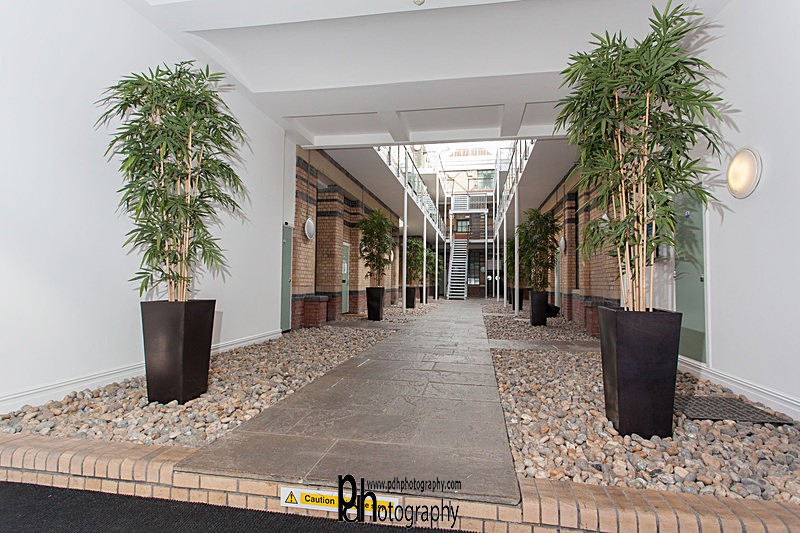 IMG_9314 - Property(examples)