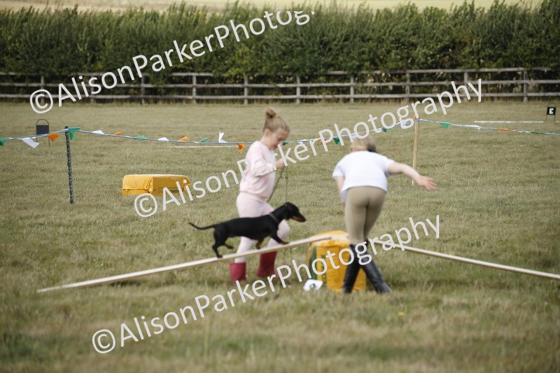 20250831-3899 - Dog Show