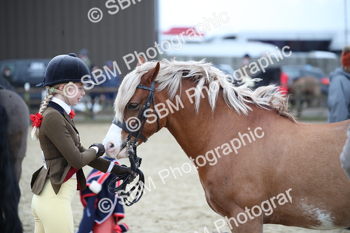 SBM_006192 - Class 10-13 - RIHS Small Large Breeds