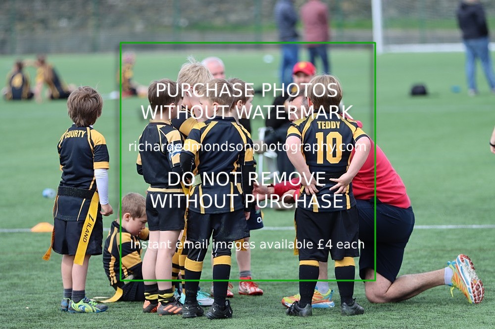 IMG_2935 - Kendal Rugby Under 7's (27/4/24)
