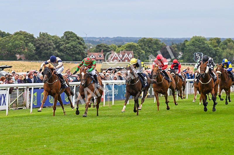 150824-Race 4-Opal Storm-8046 - Race 4