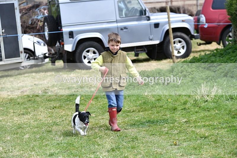 WJ5_0482 - Class 7 Best Terrier