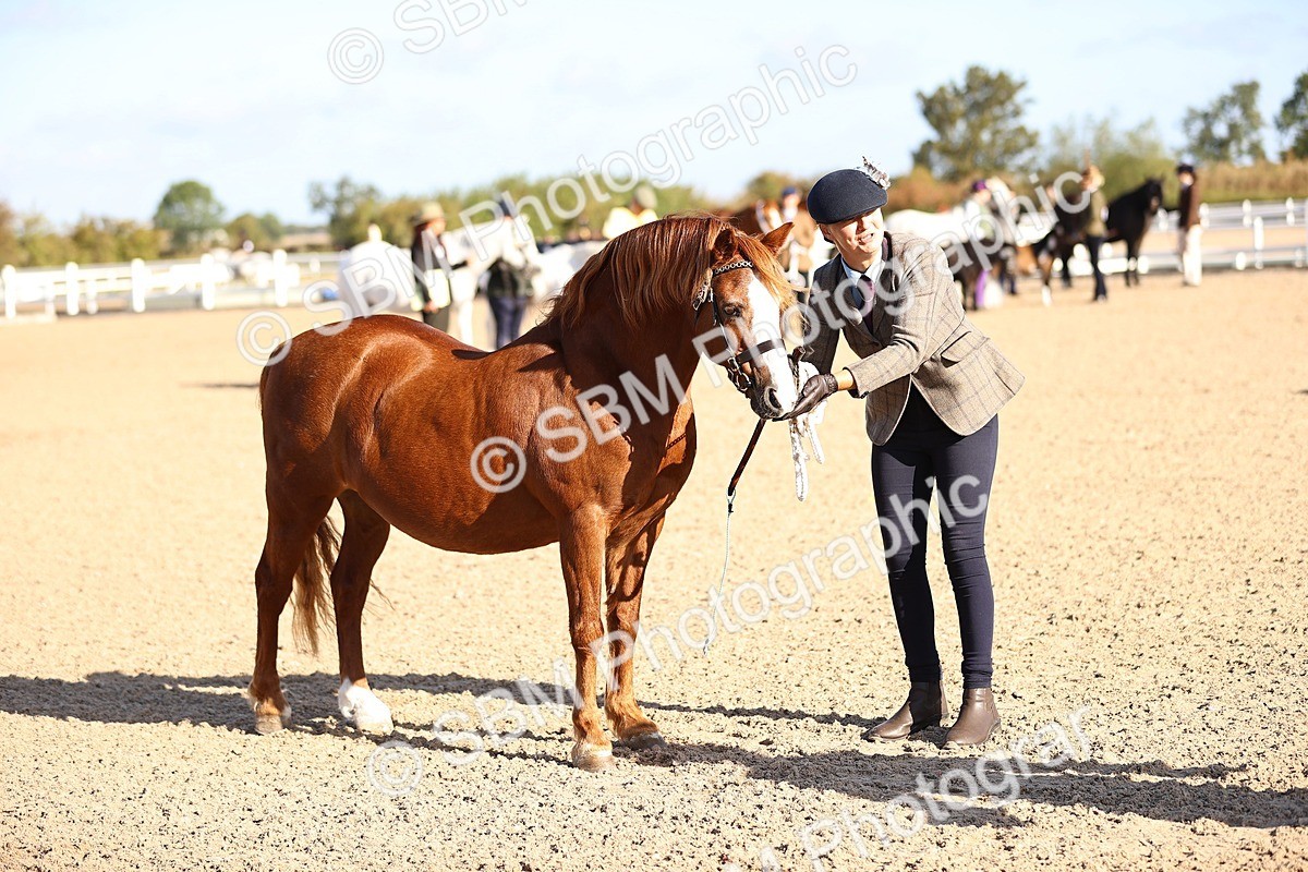 SBM_08484 - Class 402 - IH Veteran Pony