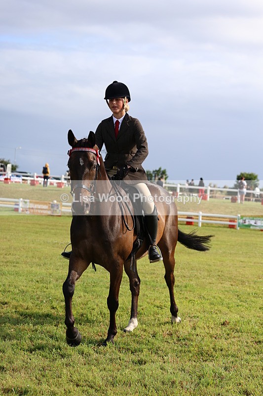 3E7A8252 - Class 2: Rising Star Large Hack/Riding Horse