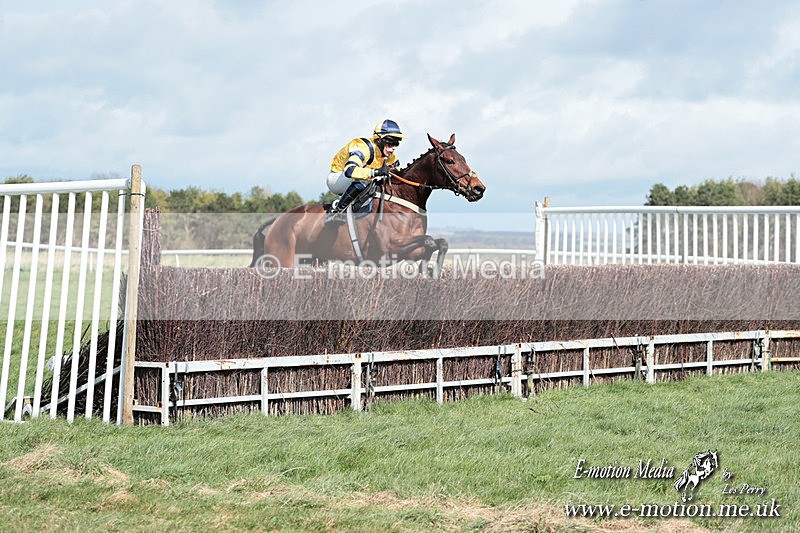 PtP 230324 294 - Tedworth Hunt PtP Larkhill Raccourse 23rd March 2024
