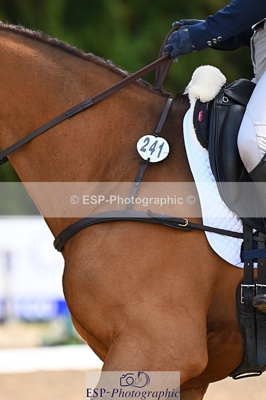 231021-143534-18747 - 241-HILDARE.HERMITAGE-Danielle.Mccormack-DR