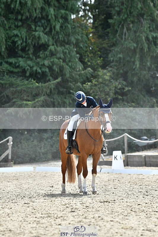 260802A-151926-07366 - Intermediate Bronze