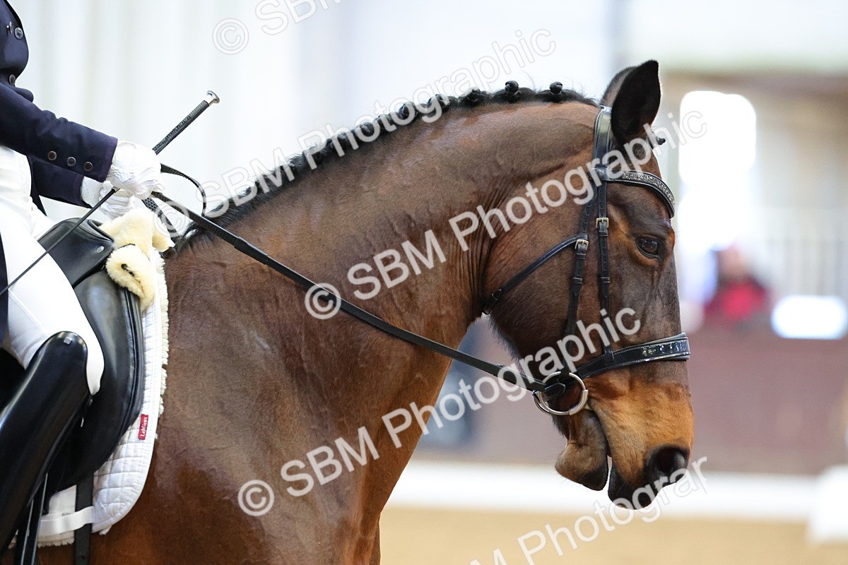 1I0A9764 - Class 17-19 - FEI PSG-FEI INT 1