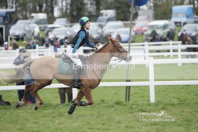 PtP 260323 0058 - New Forest Hounds Point-to-Point Larkhill 26/03/23